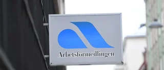 Här skapas nya jobb i länet