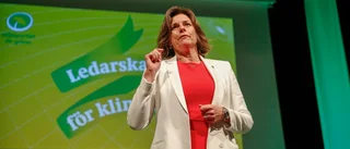 Klimatministern varnar: SSAB-projekt kan förlora stöd