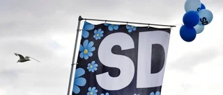 Insändare: Ni som röstade på SD – tänk om!