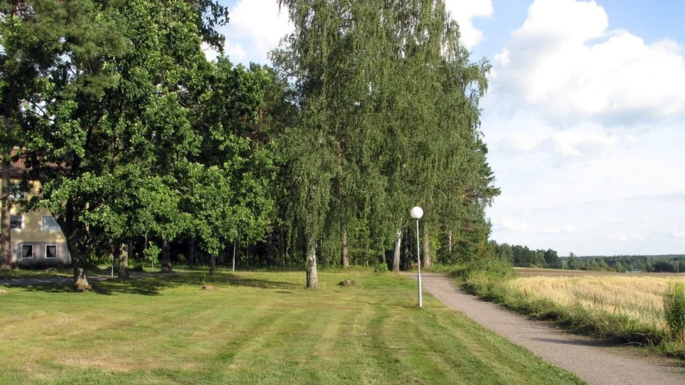 I förslaget för detaljplan vid Eriksbergsvägen, nära Djulö gärde, står att så stor del av skogen som möjligt ska sparas.