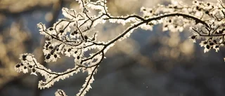 Nu blir det kallare – igen
