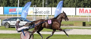 Policy of Truth snart tillbaka på travbanan