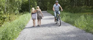 Förbättrad Bieväg såg dagens LED-ljus