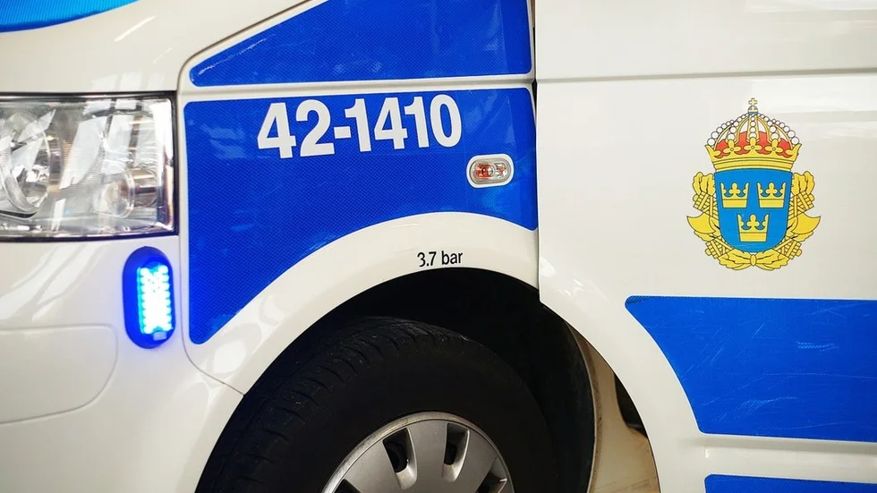 9890946.jpg