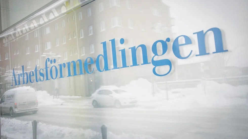 Arbetsförmedlingen betalar glatt ut bidrag utan krav på motprestation, hävdar skribenten.