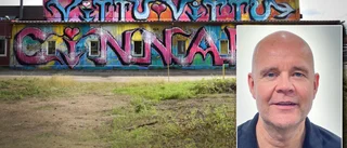 Företagaren om omtalade verket: "Aldrig varit meningen"