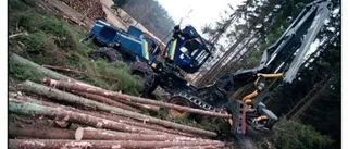 Skogen är inte någon allmänning