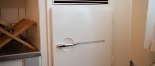 Här är de vanligaste missförstånden om elen