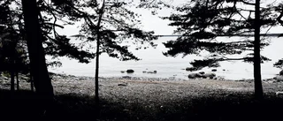 Kråmö snart helt i Trosas händer