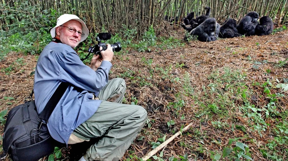Eskilstunabon Rolf Agnestrand har dokumenterat gorillorna i Rwanda i 40 år.