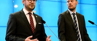 SD vill slopa skatt på el under vintern