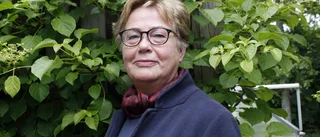 Vill fortsätta utveckla kulturen i regionen