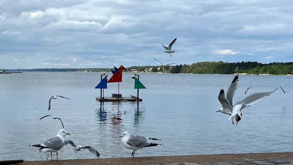 Även fiskmåsarna uppskattar det nya konstverket. 