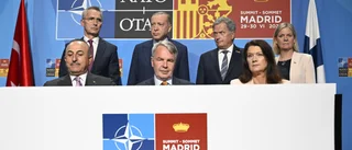 Sveriges väg in i Nato åter öppnad