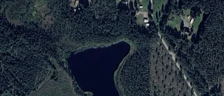 Nya ägare till skogen på Storstugvägen 24 i Moskosel