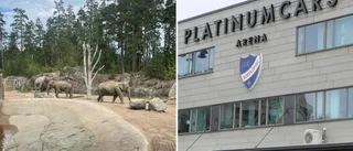 Tänk om IFK nekade årskortsanvändare inträde