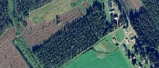 Lantbruksfastighet såld i Harads – priset: 1 550 000 kronor