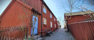 De köpte 1800-talsoasen på Båtsmansbacken • "Suktat och dreglat"