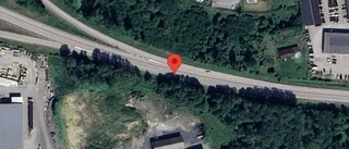 Rådjur på fel sida av viltstängslet på E18