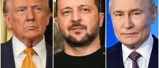 Expert om Trumps hot: Väldigt svårt att genomföra