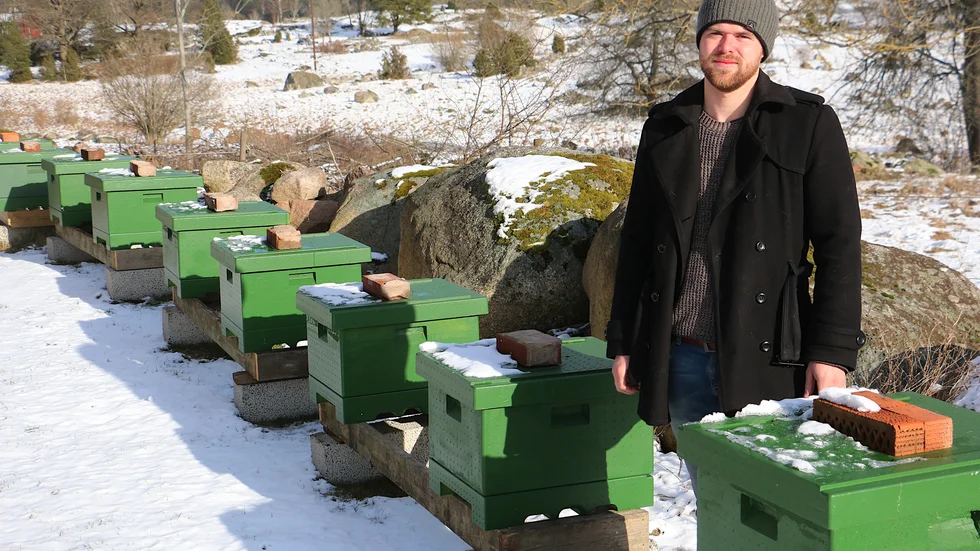 Wiktor Johansson i Tälleryd, Vena, gör en annorlunda hobby till en än mer annorlunda företagsidé. Han satsar på biodling.