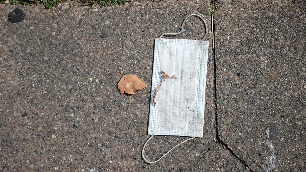 Skribenten tänker inte ta upp andras muskydd. 