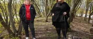 Nu ska det kritiserade schemat bort