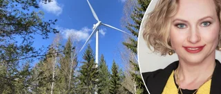 "Därför engagerar jag mig så starkt i vindkraftsfrågan – trots att jag är stockholmare"
