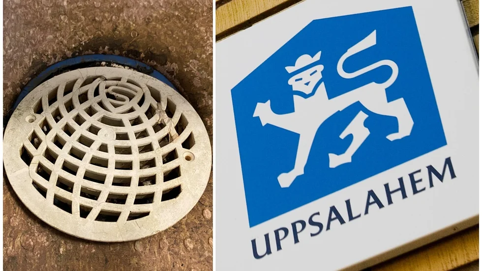 Att inte larma fastighetsägaren i tid om avloppet svämmat över kan bli en dyr historia. Det har en kvinna i Uppsala fått erfara.