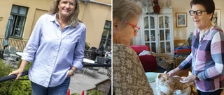 Färre tomma platser på äldreboendena –"Börja vända, det finns hopp"