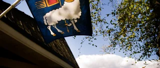 Gotlands grindsamhällen visar politikens misslyckande