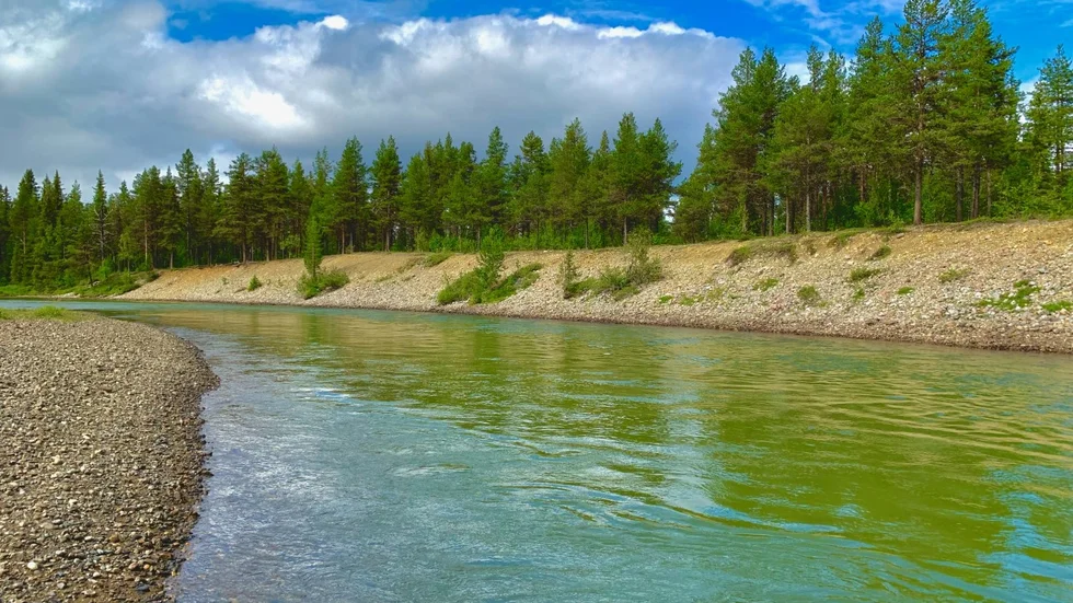Laisälven var först brun och blev sedan grön på söndagen. (Foto: Pär Wallström)