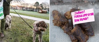 13-åring: Ta upp hundskiten – hur svårt kan det vara?