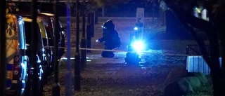 Misstänkt föremål i Malmö var ofarligt