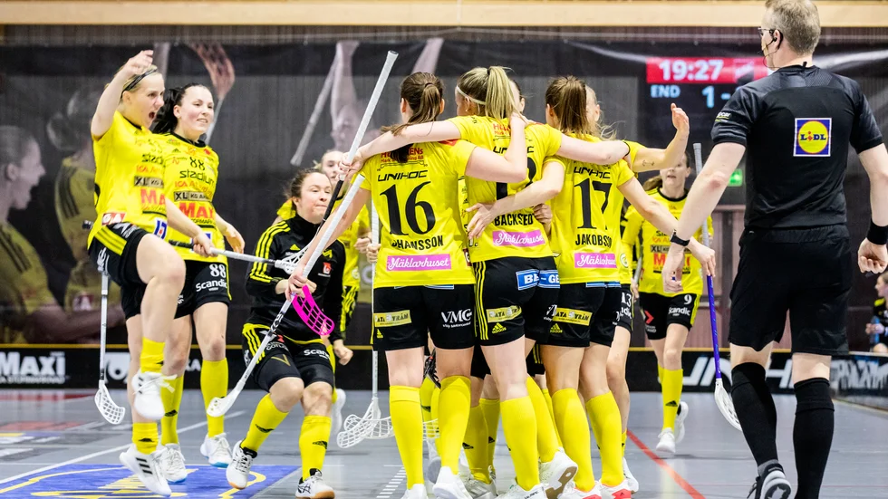 Segeryra i Ica Maxi Arena efter att Endre vunnit med 4-3 och utjämnat matchserien mot Pixbo.