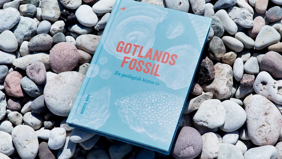 Geologen Sara Eliassons bok "Gotlands fossil, en geologisk historia".