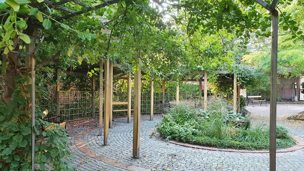 Fridegårdsparken är en av Enköpings fickparker, en liten park med klippt häck runtom som ger en tydlig rumskänsla. Parken har renoverats över sommaren men är nu öppen igen.