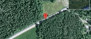 Fallna träd skapar problem i trafiken på väg 723