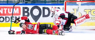 Bildextra från Boden Hockeys seger