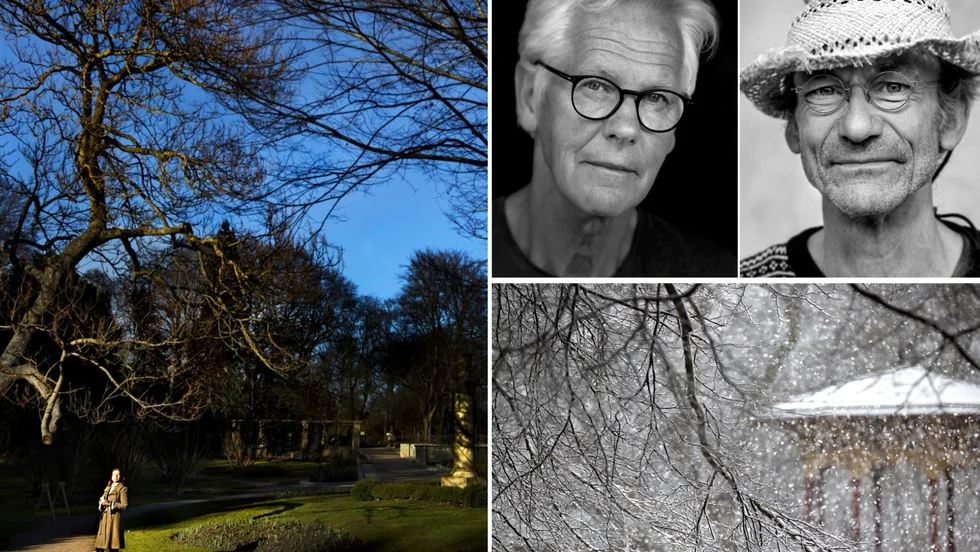 DBW:s Botaniska trädgård, Tommy Söderlund, Lasse Pettersson.