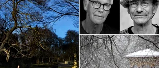 Ny bok om Botan – "Här slipper man bruset"