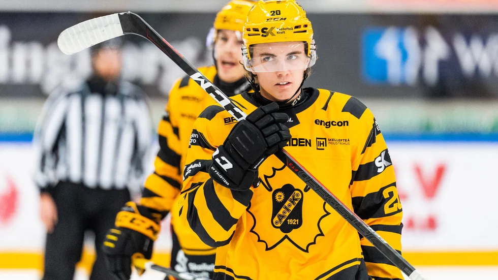 Elias Stenman är uttagen i Team 19. 