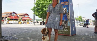 Veterinärbrist oroar hundägare: "Jobbigt om man inte får en tid"