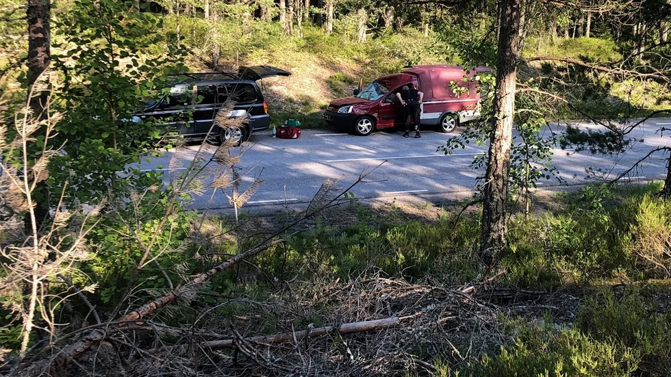 En viltolycka gjorde att Finspångsvägen fick stängas av en stund på fredagen.
