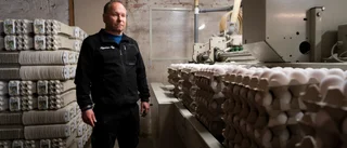 Lokala äggleverantören: Rädd att smittan ska komma hit