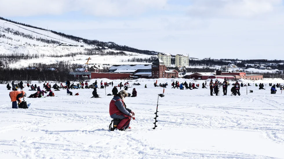 Såg här såg det ut under Kirunahugget 2019 då 600 deltagare tävlade om att dra upp de största firrarna på Luossajärvi. I år är arrangemanget inställt på grund av coronapandemin.  