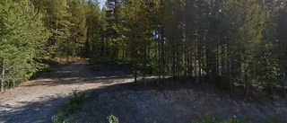 Ägarbyte för tomten på Norra Niemisel 2 i Niemisel