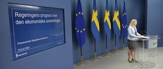 Syna välfärdens falska dikotomi