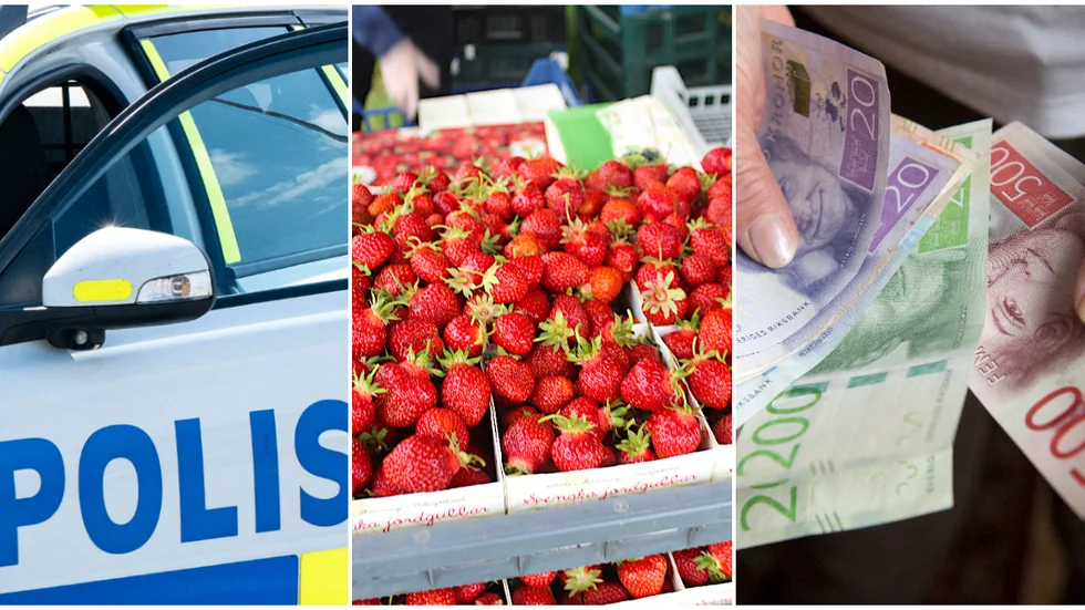 För andra gånger stals kassalådan från jordgubbsstället.