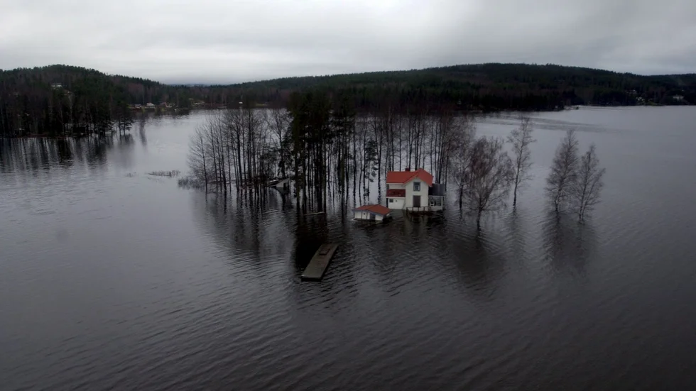 Nyttan av en egen liten dunge finns det säkert vetenskapliga argument för någonstans?